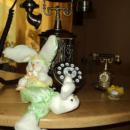 Guest house Casa Anca Boutique 3*
