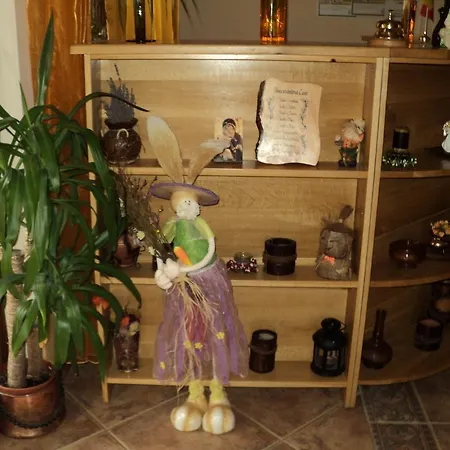Guest house Casa Anca Boutique