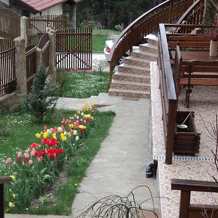 Guest house Casa Anca Boutique Timisu de Jos